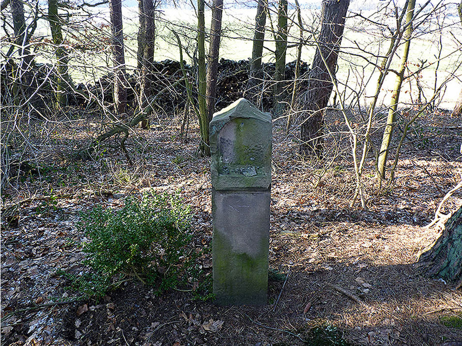 4. Fußfall nach der Verwüstung (Foto: Karl-Franz Thiede)